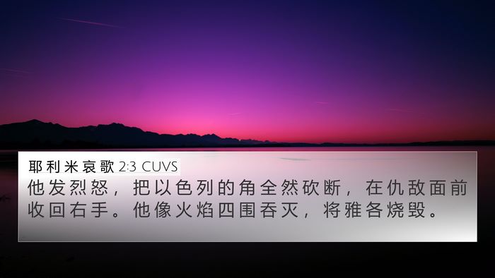 耶 利 米 哀 歌 2:3 CUVS Bible Verse Image