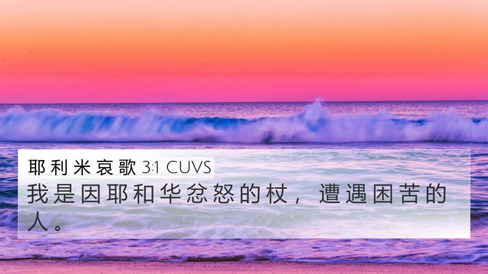 耶 利 米 哀 歌 3:1 CUVS Bible Verse Image