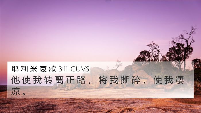 耶 利 米 哀 歌 3:11 CUVS Bible Verse Image