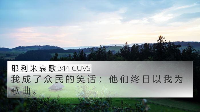 耶 利 米 哀 歌 3:14 CUVS Bible Verse Image