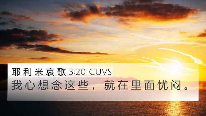 耶 利 米 哀 歌 3:20 CUVS Bible Verse Image