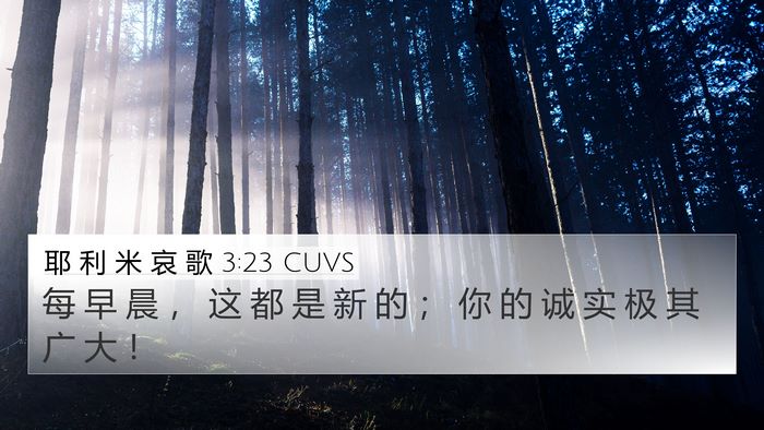 耶 利 米 哀 歌 3:23 CUVS Bible Verse Image