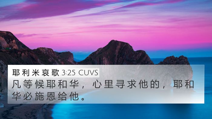 耶 利 米 哀 歌 3:25 CUVS Bible Verse Image