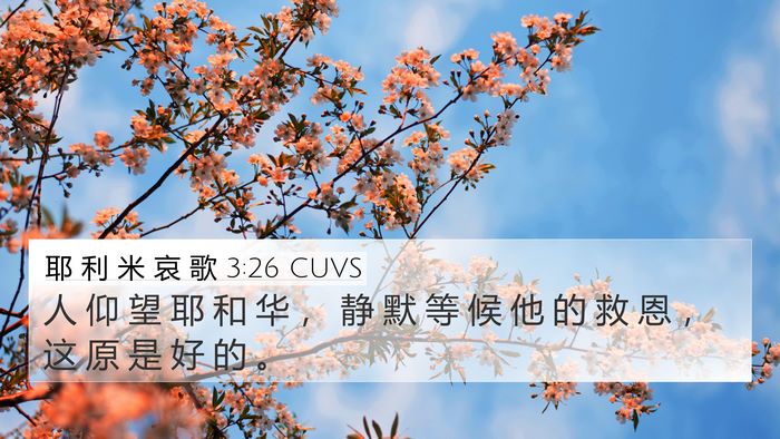 耶 利 米 哀 歌 3:26 CUVS Bible Verse Image