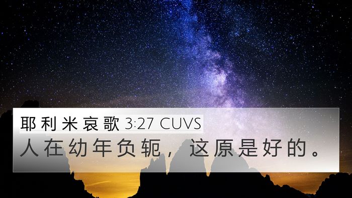 耶 利 米 哀 歌 3:27 CUVS Bible Verse Image