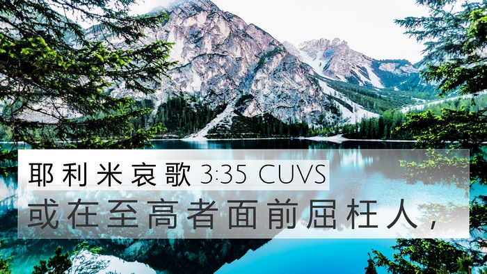 耶 利 米 哀 歌 3:35 CUVS Bible Verse Image