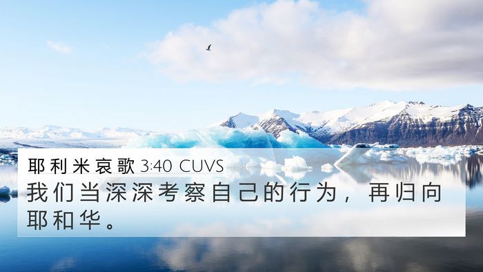 耶 利 米 哀 歌 3:40 CUVS Bible Verse Image