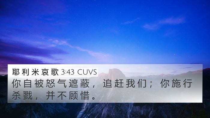 耶 利 米 哀 歌 3:43 CUVS Bible Verse Image
