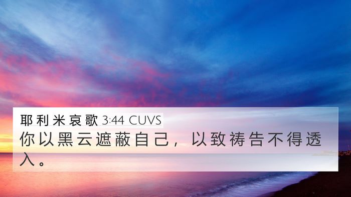 耶 利 米 哀 歌 3:44 CUVS Bible Verse Image