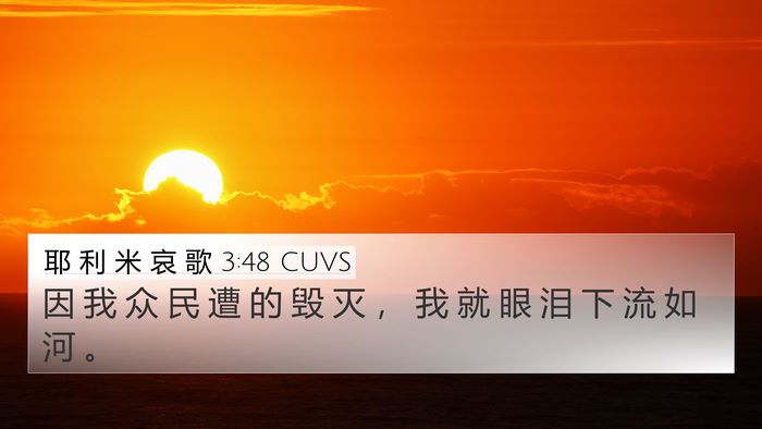 耶 利 米 哀 歌 3:48 CUVS Bible Verse Image