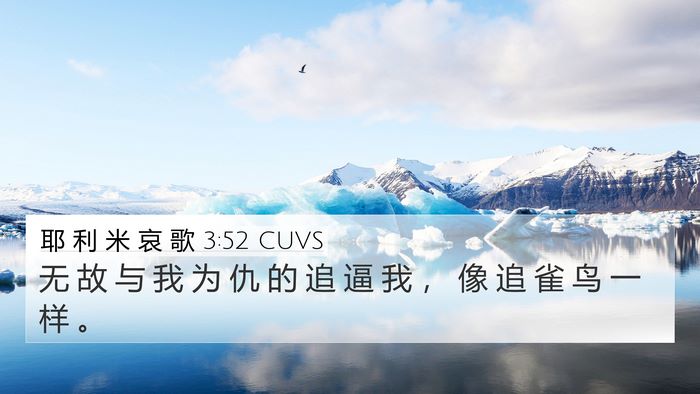 耶 利 米 哀 歌 3:52 CUVS Bible Verse Image