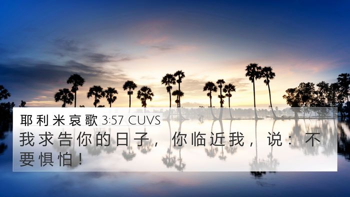 耶 利 米 哀 歌 3:57 CUVS 4K Wallpaper - 我 求 告 你 的 日 子 ， 你 临 近 我 - 4K Wallpaper Bible Verse