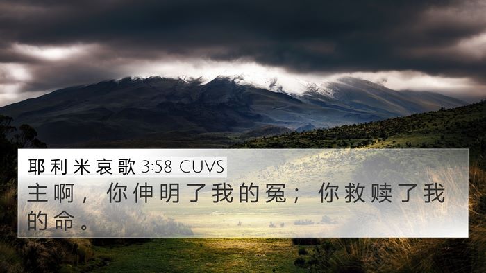 耶 利 米 哀 歌 3:58 CUVS Bible Verse Image