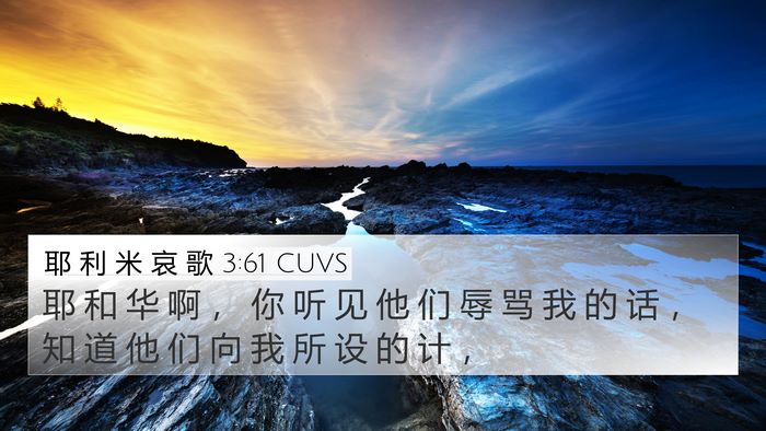 耶 利 米 哀 歌 3:61 CUVS Bible Verse Image