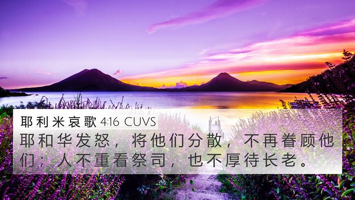 耶 利 米 哀 歌 4:16 CUVS Bible Verse Image