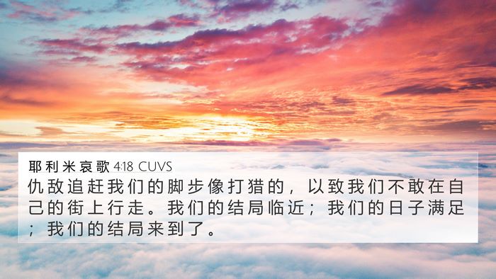 耶 利 米 哀 歌 4:18 CUVS Bible Verse Image