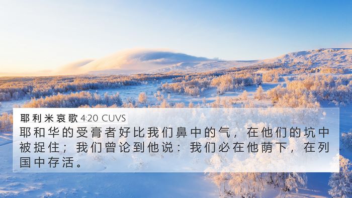 耶 利 米 哀 歌 4:20 CUVS Bible Verse Image