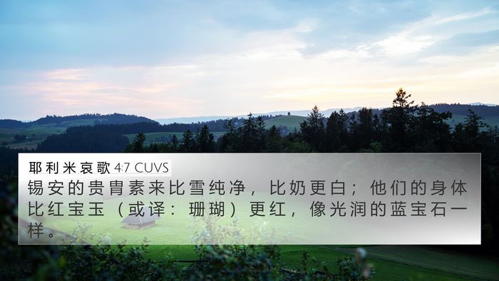 耶 利 米 哀 歌 4:7 CUVS Bible Verse Image