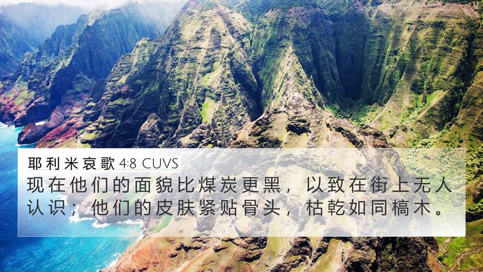 耶 利 米 哀 歌 4:8 CUVS Bible Verse Image