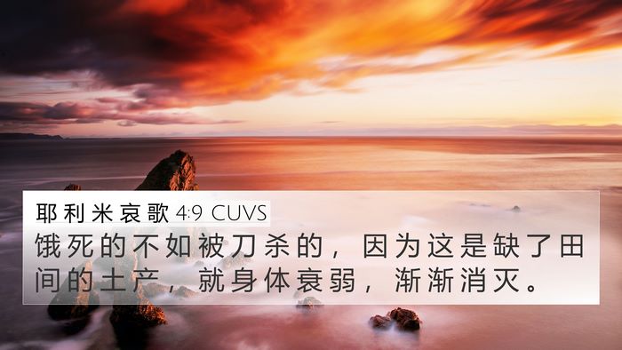 耶 利 米 哀 歌 4:9 CUVS Bible Verse Image