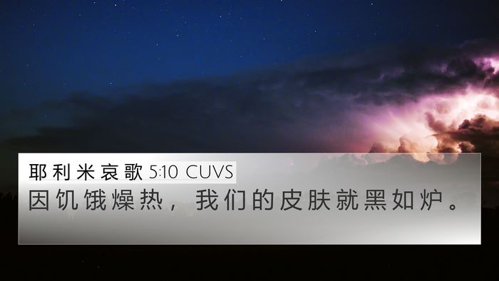 耶 利 米 哀 歌 5:10 CUVS Bible Verse Image