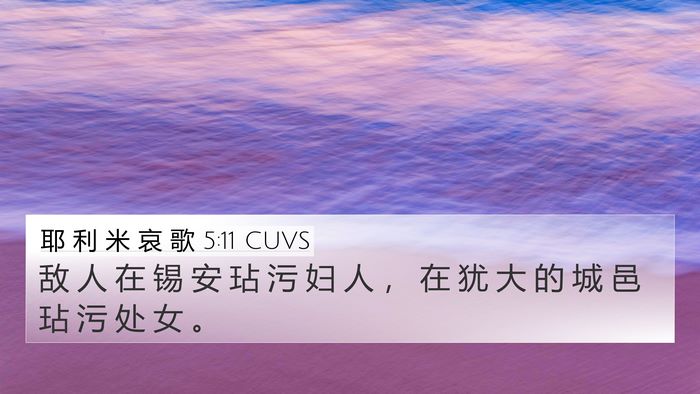 耶 利 米 哀 歌 5:11 CUVS Bible Verse Image