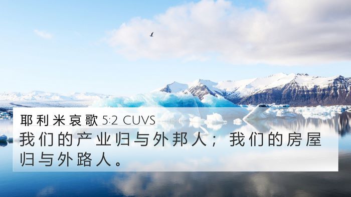 耶 利 米 哀 歌 5:2 CUVS Bible Verse Image