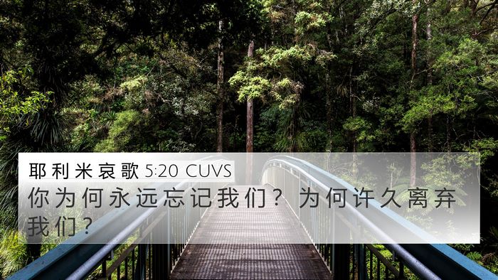 耶 利 米 哀 歌 5:20 CUVS Bible Verse Image