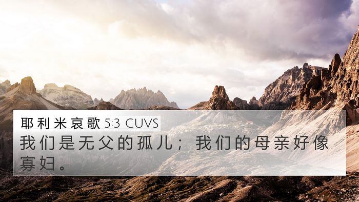 耶 利 米 哀 歌 5:3 CUVS Bible Verse Image