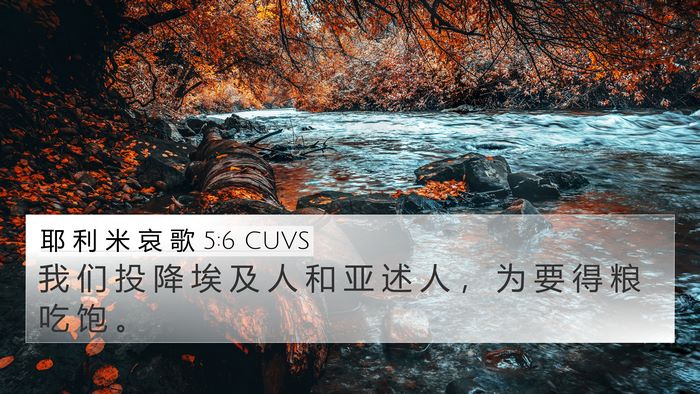 耶 利 米 哀 歌 5:6 CUVS 4K Wallpaper - 我 们 投 降 埃 及 人 和 亚 述 人 ， - 4K Wallpaper Bible Verse