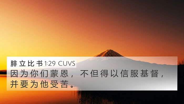 腓 立 比 书 1:29 CUVS Bible Verse Image