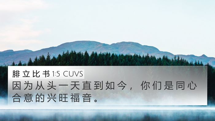 腓 立 比 书 1:5 CUVS Bible Verse Image