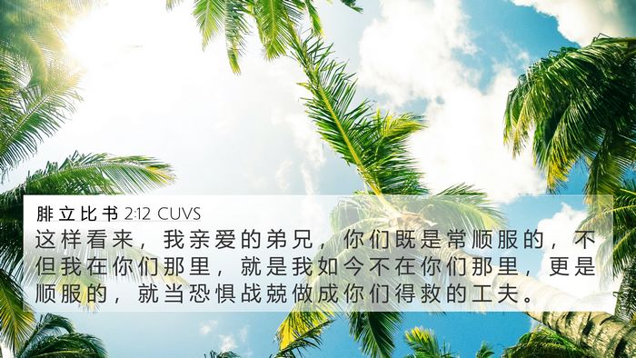 腓 立 比 书 2:12 CUVS Bible Verse Image