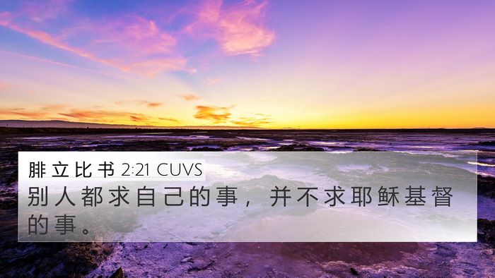 腓 立 比 书 2:21 CUVS Bible Verse Image