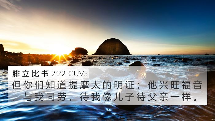 腓 立 比 书 2:22 CUVS Bible Verse Image