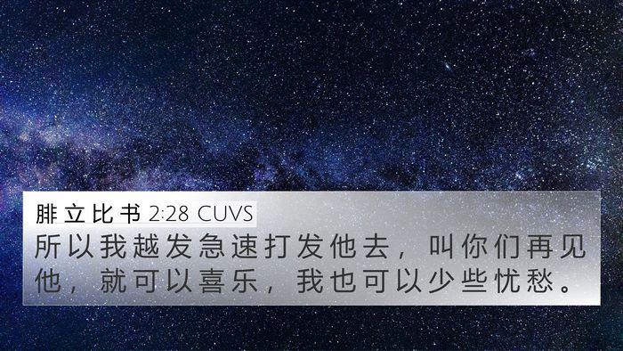 腓 立 比 书 2:28 CUVS Bible Verse Image