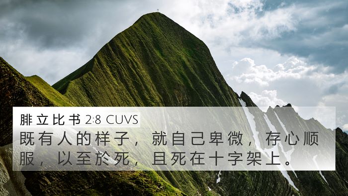 腓 立 比 书 2:8 CUVS Bible Verse Image
