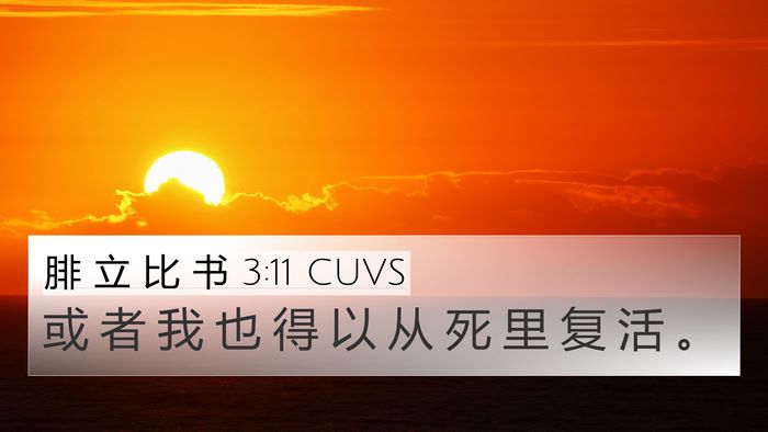 腓 立 比 书 3:11 CUVS Bible Verse Image
