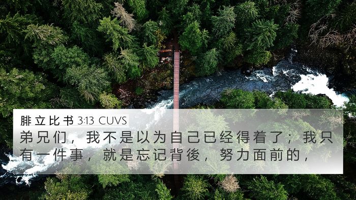 腓 立 比 书 3:13 CUVS Bible Verse Image