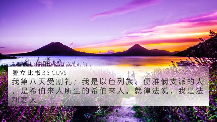腓 立 比 书 3:5 CUVS Bible Verse Image