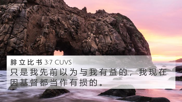 腓 立 比 书 3:7 CUVS Bible Verse Image