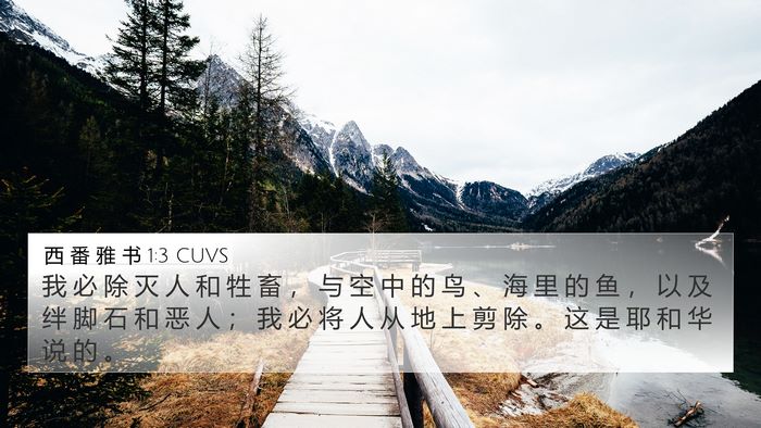 西 番 雅 书 1:3 CUVS Bible Verse Image