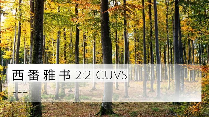 西 番 雅 书 2:2 CUVS 4K Wallpaper -  - 4K Wallpaper Bible Verse