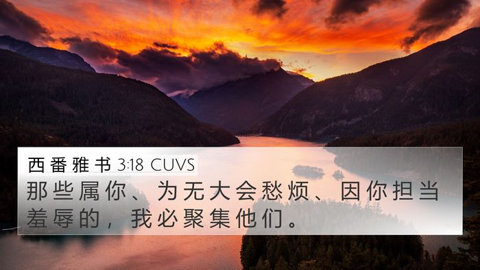 西 番 雅 书 3:18 CUVS Bible Verse Image