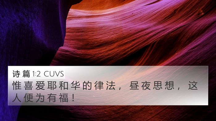 诗 篇 1:2 CUVS Bible Verse Image