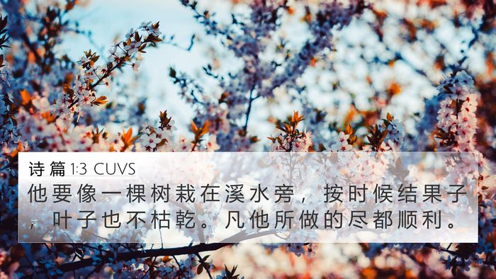 诗 篇 1:3 CUVS Bible Verse Image