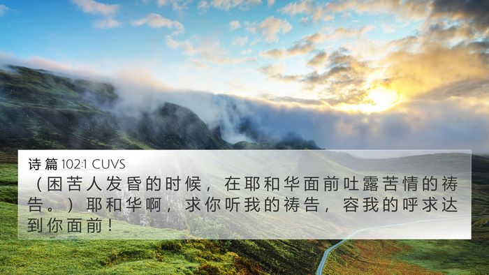 诗 篇 102:1 CUVS Bible Verse Image