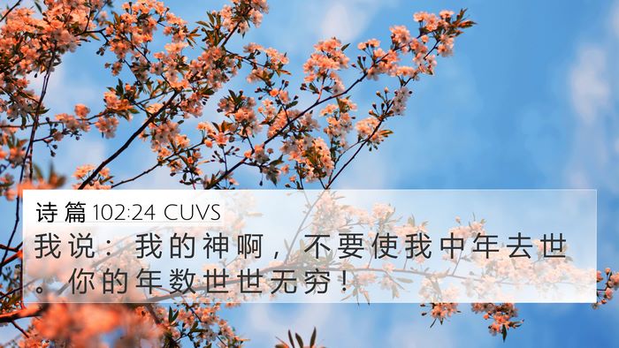 诗 篇 102:24 CUVS Bible Verse Image