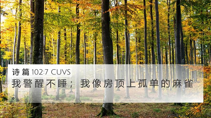 诗 篇 102:7 CUVS Bible Verse Image