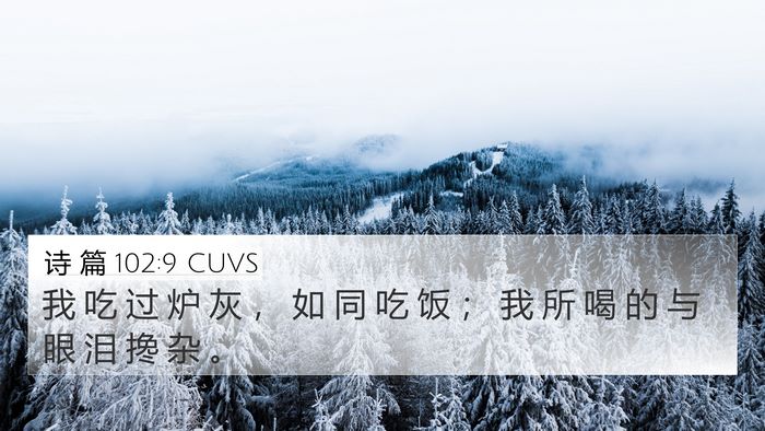 诗 篇 102:9 CUVS Bible Verse Image